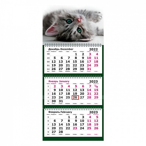 Календарь  2023 год квартальный Портрет кота Полином, 13с14-236