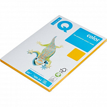 Бумага для офисной техники цветная А4  80г/м2 100л старое золото класс А IQ Color, AG10