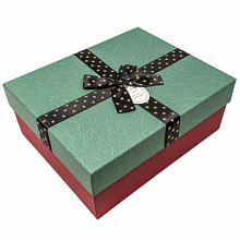 Коробка подарочная прямоугольная  25,5х20,5х10,5см Especially for you OMG 720300-291