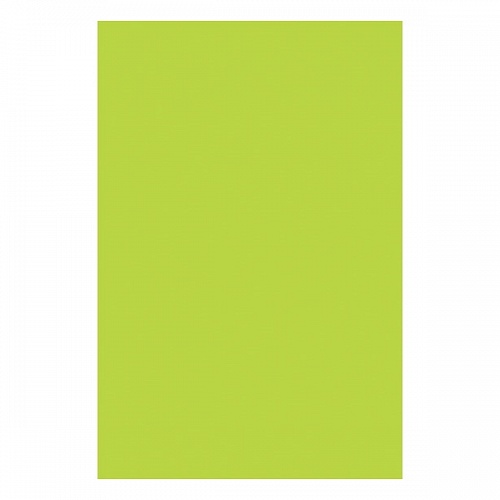 Бумага для офисной техники цветная А4  80г/м2  10л салатовая КТС-ПРО, С3036-14