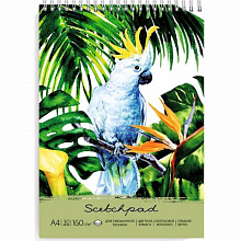Альбом для пастели А4 30л бежевая бумага с хлопковым волокном Попугай Феникс 49794