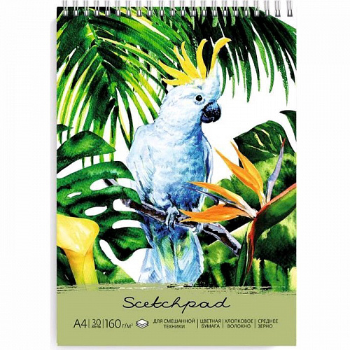 Альбом для пастели А4 30л бежевая бумага с хлопковым волокном Попугай Феникс 49794