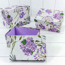 Коробка подарочная прямоугольная  26х19х14см Цветы и бабочки OMG 720-739