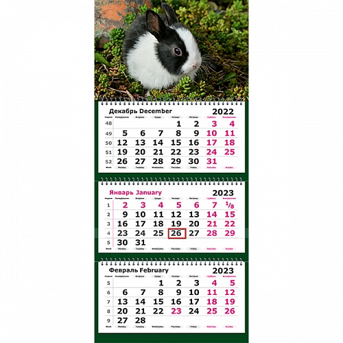 Календарь  2023 год квартальный Крольчонок Полином, 13с14-244