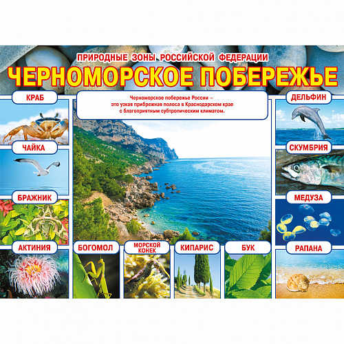 Плакат Природные зоны РФ. Черноморское побережье Мир поздравлений 070.237