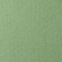 Бумага для пастели 500х650мм 25л LANA зеленый сок (цена за лист), 15011481