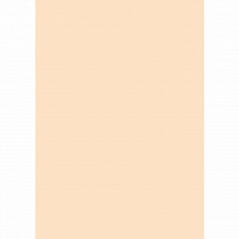 Бумага для офисной техники цветная А4  80г/м2 100л оранжевая пастель Крис Creative, БПpr-100ор