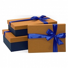 Коробка подарочная прямоугольная  25x17x6см ореховая-синяя Д10103П.158.2