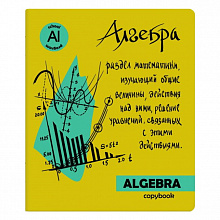 Тетрадь предметная Алгебра 48л клетка Яркая учеба ФЕНИКС, 50571