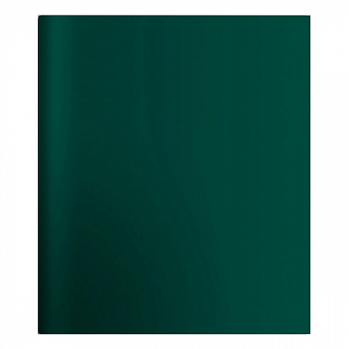Тетрадь со сменным блоком 120л ПВХ клетка зеленая Hatber, 120ТК5тВ1