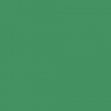 Картон 50х70см УЦЕНКА зеленый мох 300г/м2 FOLIA (цена за 1 лист) 6153