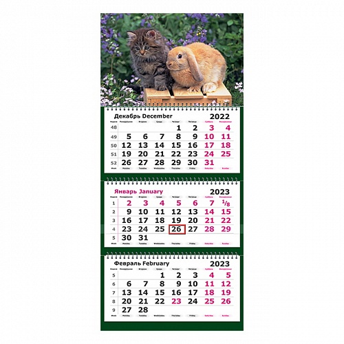 Календарь  2023 год квартальный Символ года Кролик и котик Полином, 13с14-237