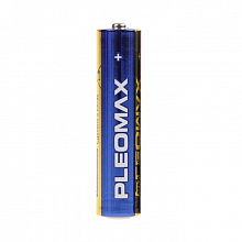 Элемент питания LR6 SAMSUNG Pleomax BP2 АА (цена за 1шт.)