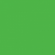 Цветная бумага 50х70см зеленый травяной 130гр/м2 10л FOLIA (цена за лист), 6755