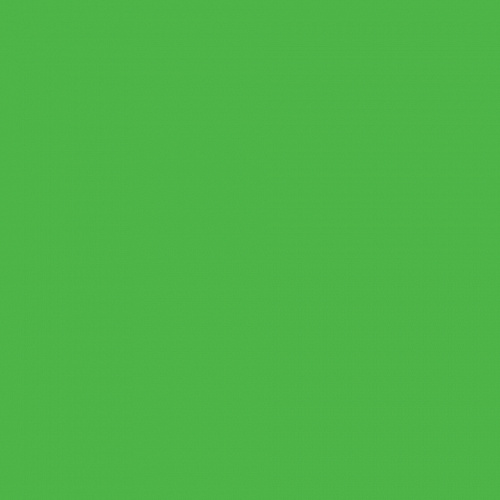 Цветная бумага 50х70см зеленый травяной 130гр/м2 10л FOLIA (цена за лист), 6755
