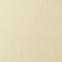Бумага для пастели 420х297мм 25л LANA кремовый 160г/м2 (цена за лист), 15723178