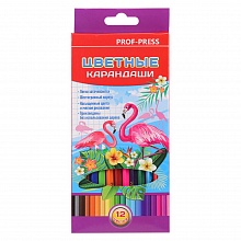 Карандаши пластиковые  12 цв. Фламинго Проф-Пресс 2М, КЦ-8374