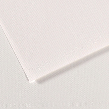 Бумага для пастели 500х650мм 25л Canson Mi-Teintes Белый 160г/м2 (цена за лист) 200271104