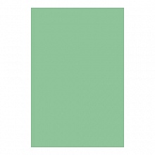 Бумага для офисной техники цветная А4  80г/м2  10л зеленая КТС-ПРО, С3036-04
