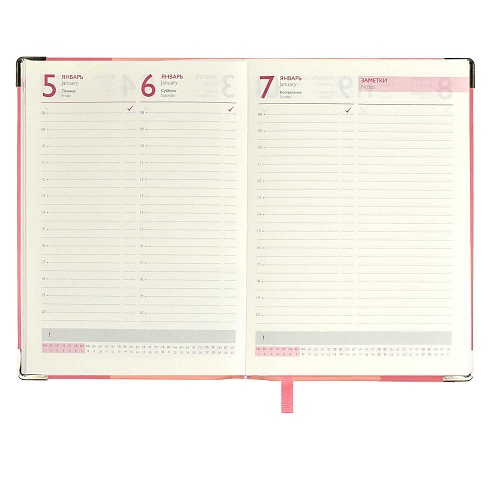 Ежедневник датированный 2024г А6+ 128л розовый ПВХ Феникс Escalada, 63824