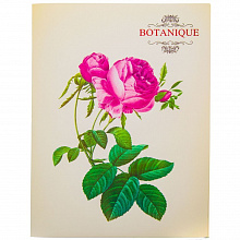 Папка с пружинным скоросшивателем А4 LEO Botanique 490810, L6188
