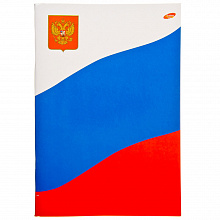 Тетрадь 96л А4 клетка Российский флаг Академия Холдинг, 5484/3