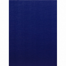 Обложка для Дипломных работ бумвинил Без надписи синяя Канцбург 10ДР00с