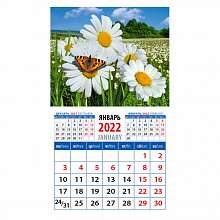 Календарь  2022 год магнитный Пейзаж с ромашкой и бабочкой День за Днем, 20214