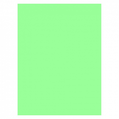 Бумага для офисной техники цветная А4  80г/м2  50л салатовая пастель ЛОРОШ БЦ-П-З