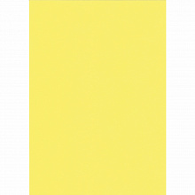 Бумага для офисной техники цветная А4  80г/м2  50л желтый интенсив Крис Creative, БИpr-50жел