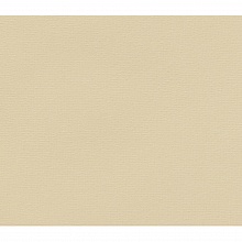 Бумага для пастели 210х297мм 25л LANA кремовый 160г/м2 (цена за лист), 15723146