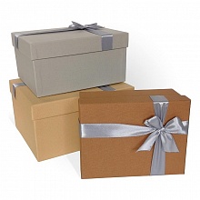 Коробка подарочная прямоугольная  21x17x11см микс с бантом Д10103П.284.2 