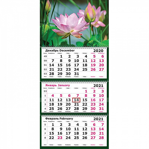 Календарь  2021 год квартальный "Цветы. Лотос" Полином 2402-13