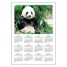 Календарь  2024 год листовой А4 Животные 16.17.00627 Горчаков