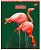 Тетрадь 80л клетка Animals World Животные Академия, 7424/5 Тетрадь 80л клетка Animals World Животные Академия, 7424/5