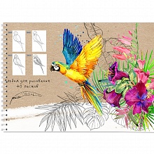 Альбом для рисования А4 40л спираль Попугай и растения Проф-Пресс, 40-5475