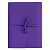 Блокнот для маркеров и графики А5 40л Twist FL Полином фиолетовый со смен. блоком 160г/м2, 3140