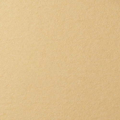 Бумага для пастели 500х650мм песочный 160г/м2 (цена за лист) LANA 15011473