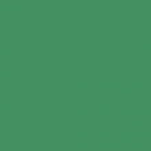 Картон А4 зеленый мох 300г/м2 FOLIA (цена за 1 лист) 614/1053