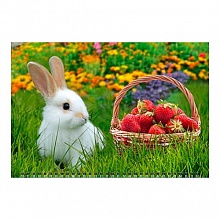 Календарь  2023 год квартальный Год кролика.Дары лета День за Днем, 14303