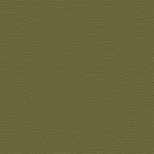 Бумага для пастели 210х297мм Dark jungle зеленый (цена за лист) Palazzo Лилия Холдинг БPDJ/А4