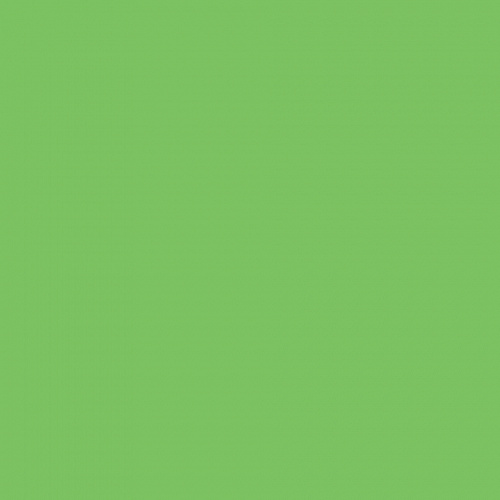 Цветная бумага 50х70см светло-зеленый 130гр/м2 10л FOLIA (цена за лист), 6751