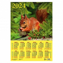 Календарь  2024 год листовой А2 Белка с орехом День за Днем, 90413