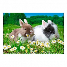 Календарь  2023 год квартальный Год кролика.Двое друзей на парогулке День за Днем, 14310
