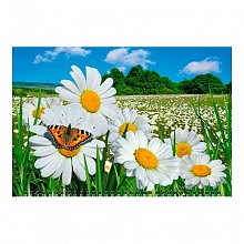Календарь  2023 год квартальный Пейзаж с ромашками и бабочкой День за Днем, 14332