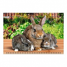 Календарь  2023 год квартальный Год кролика.Родительская забота День за Днем, 14312