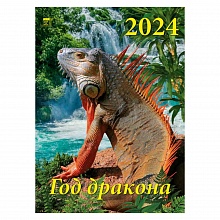 Календарь  2024 год настенный перекидной 250х340мм Год дракона День за Днем, 11401