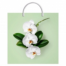 Пакет с пластмассовой ручкой 36х37+10см Орхидея на салатовом ПЛР44161
