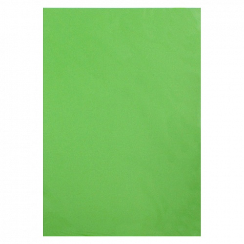 Бумага для офисной техники цветная А4  80г/м2  10л ярко-зеленая КТС-ПРО, С3036-08