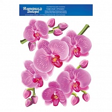 Наклейки для декора Чудесные орхидеи ИП 07.795.00 